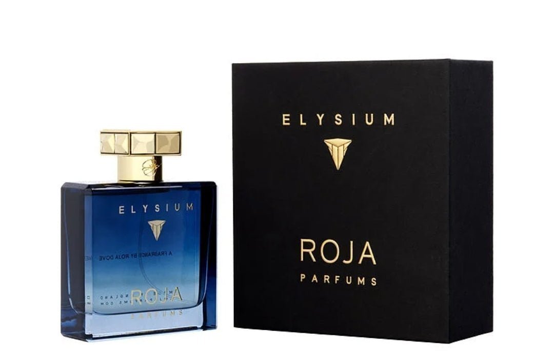 Roja Elysium Parfums Pour Homme Parfum Cologne For Men, 3.4 Ounce - HaltMart